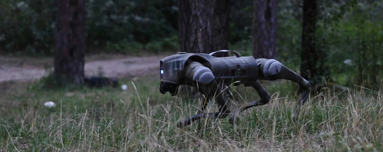 سگهای جنگی اوکراین روسیه را به دردسر انداخته است +عکس