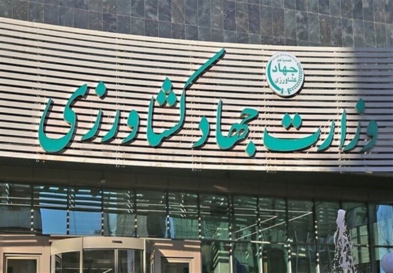 مدیرانی که طرح‌های ملی را متوقف می‌کنند