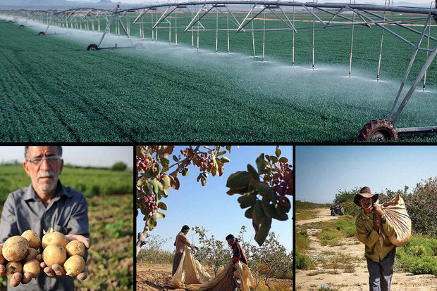 برای خودکفایی در تولیدات کشاورزی از این مسیر بروید