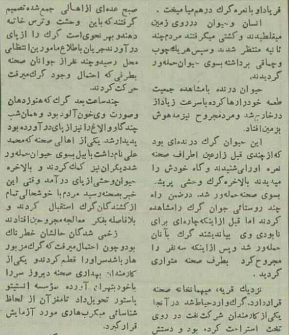 یک گرگ وحشی در کرمانشاه ۲۶ نفر را مجروح کرد!