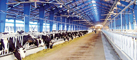 زنگ خطر جدی برای تأمین امنیت غذایی به صدا درآمد