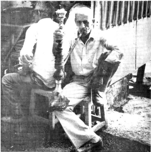 عکسهای پیادهروهای تهران ۴۰ سال پیش: از غازچرانی تا بساط قلیان!