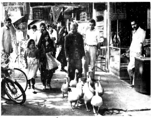 عکسهای پیادهروهای تهران ۴۰ سال پیش: از غازچرانی تا بساط قلیان!