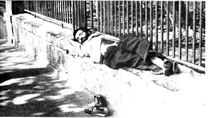 عکسهای پیادهروهای تهران ۴۰ سال پیش: از غازچرانی تا بساط قلیان!