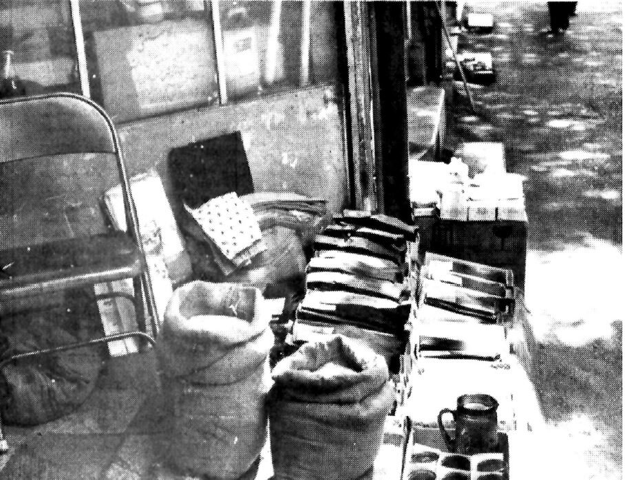 عکسهای پیادهروهای تهران ۴۰ سال پیش: از غازچرانی تا بساط قلیان!