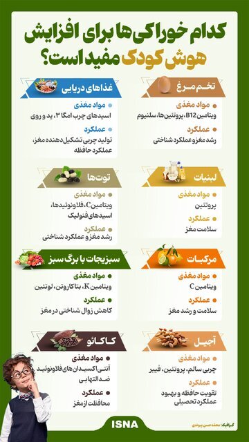 این خوراکی‌ها هوش کودکان را تقویت می‌کند +اینفوگرافیک