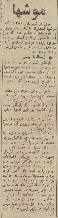 موشها بایگانی شهرداری تهران را خوردند! +عکس