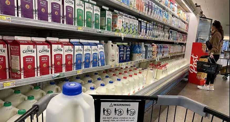 شیرهای بدون لاکتوز مرگ‌آور از فروشگاه‌های آمریکا جمع شد! +عکس
