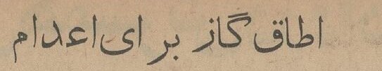 شهرداری برای سگهای بدون صاحب اتاق اعدام ساخت!