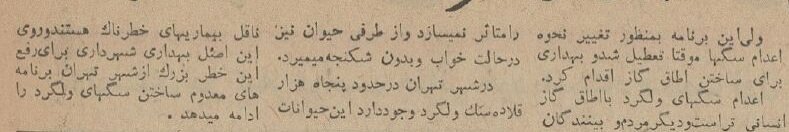 شهرداری برای سگهای بدون صاحب اتاق اعدام ساخت!