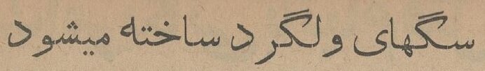 شهرداری برای سگهای بدون صاحب اتاق اعدام ساخت!
