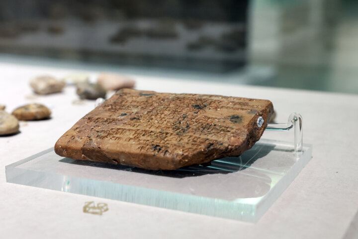 همهچیز درباره سوغاتی تاریخی پزشکیان از نیویورک +تصاویر