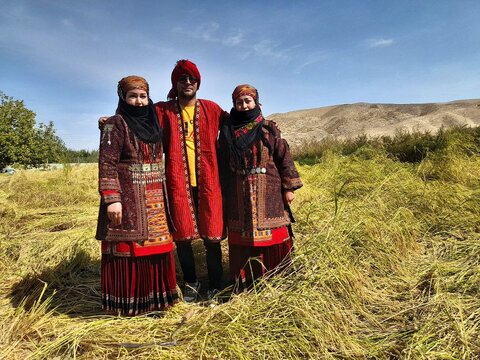 جشنواره کشت برنج در روستای سنگدیوار +عکس و ویدیو