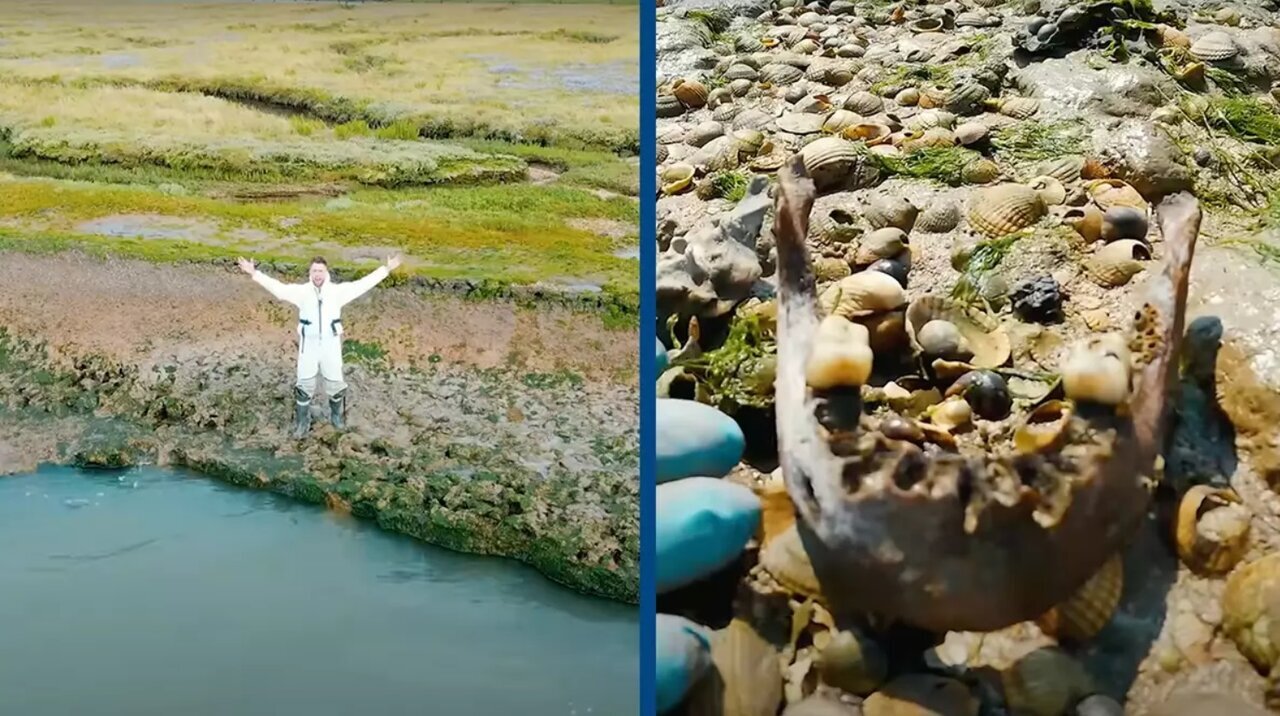 جزیره مرگ در قلب اروپا؛ در این مکان صدها جنازه کشف شد! +تصاویر