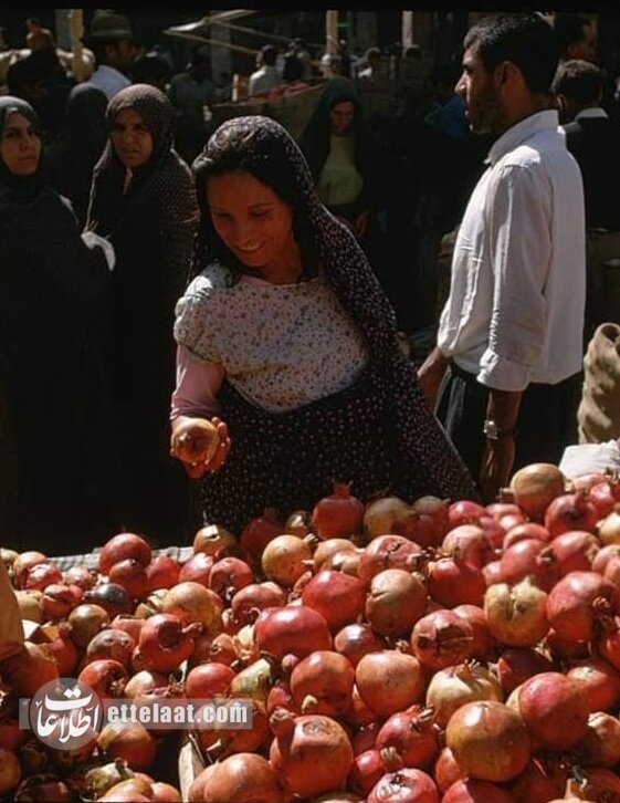 اولین بازار میوه و تره‌بار تهران چه زمانی افتتاح شد؟ +عکس