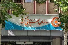 سازمان بهزیستی پاسخگو نیست 