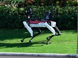 سگهای محافظ دونالد ترامپ خبرساز شدند +عکس