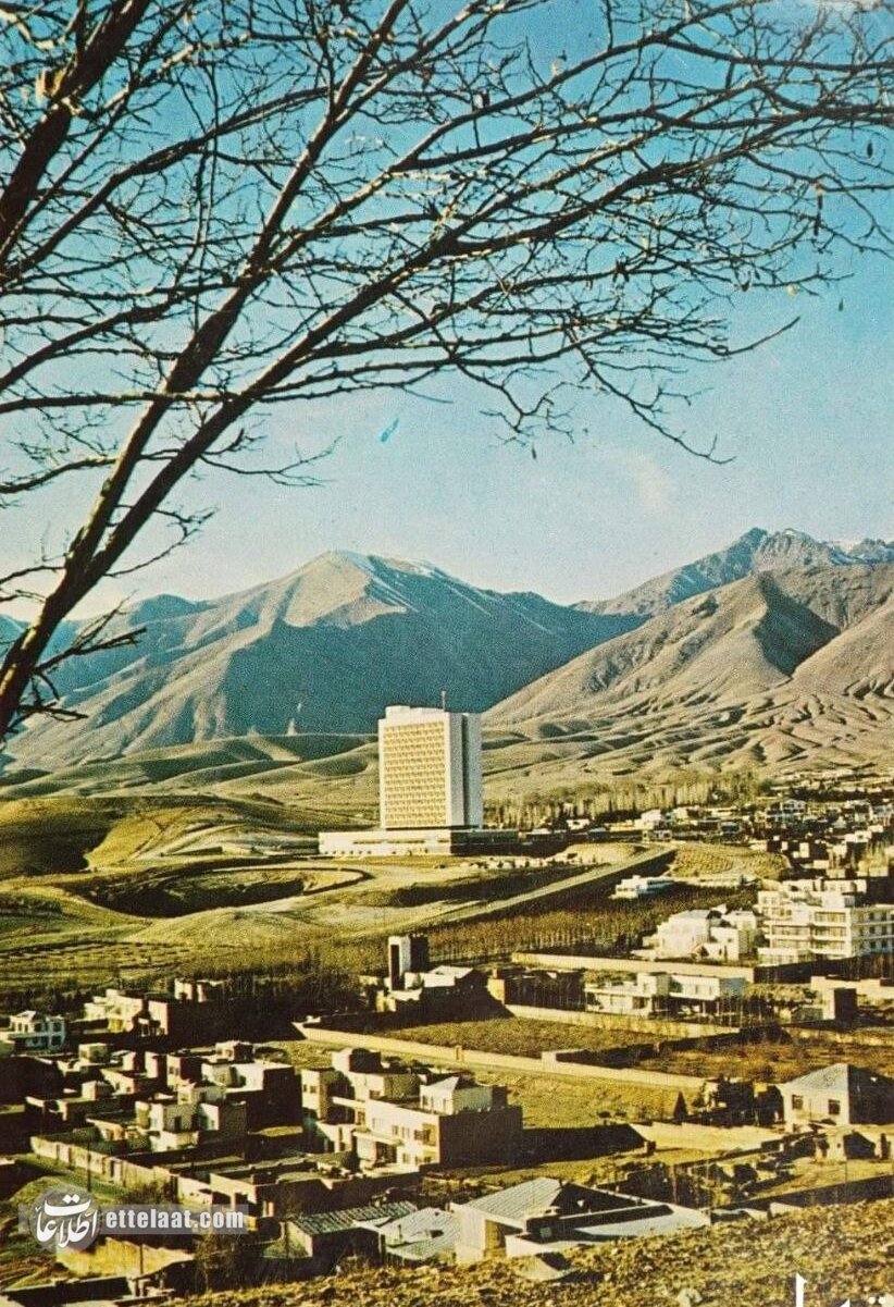 ۴ ریشو در هتل میامی تهران خبرساز شدند! +عکس