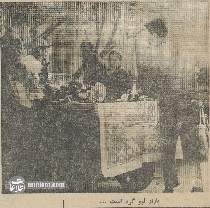 عکسهای دیدنی از یخبندان تهران در آذرماه سال ۱۳۴۳