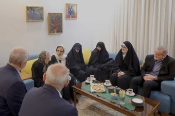 دیدار کریسمسی پزشکیان با خانواده دو شهید مسیحی/ ژستی که تاکنون از یک رئیس‌جمهور ندیده‌اید! +تصاویر