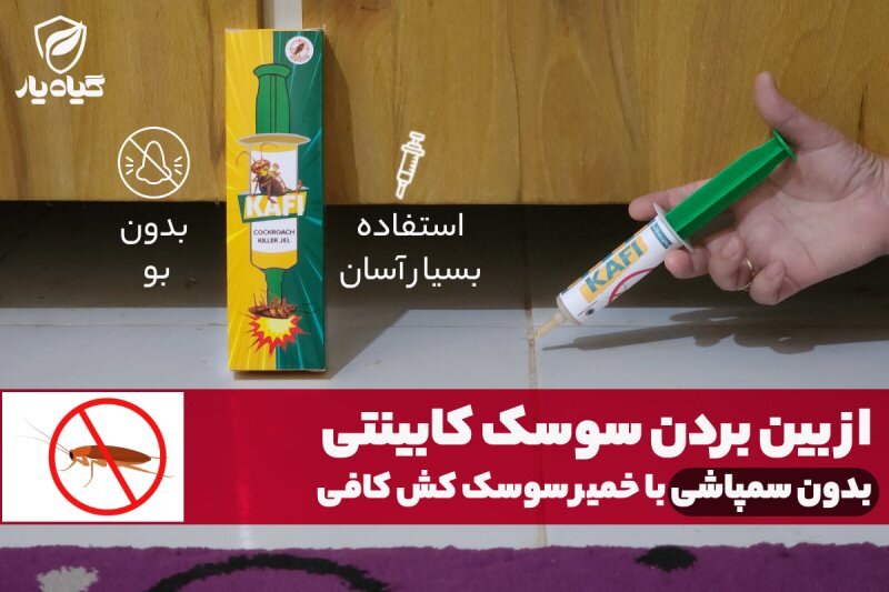 از بین بردن سوسک کابینتی بدون سمپاشی با خمیر سوسک کش کافی - Kafi
