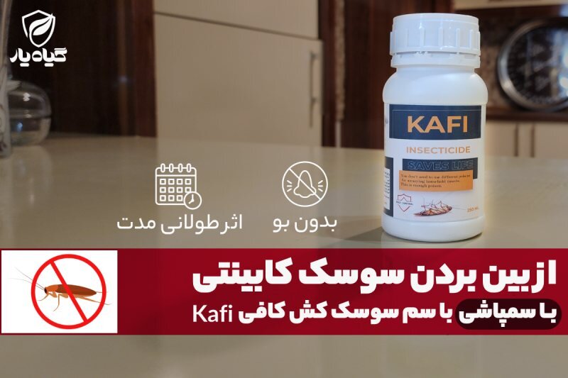 از بین بردن سوسک کابینت با سمپاشی سوسک با سم سوسک کافی - Kafi