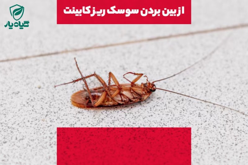 سایر روش های از بین بردن سوسک ریز کابینت و آشپزخانه