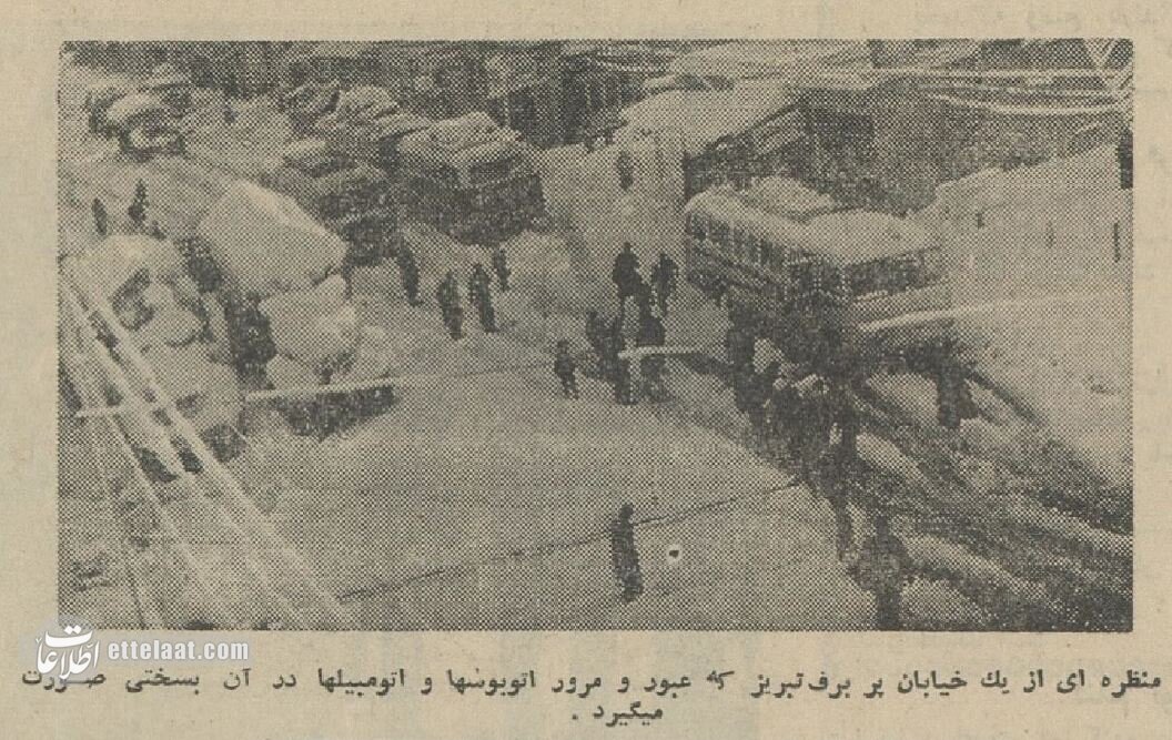 استقبال از پادشاه نروژ در برفیترین روز تهران! +عکسهای دیدنی