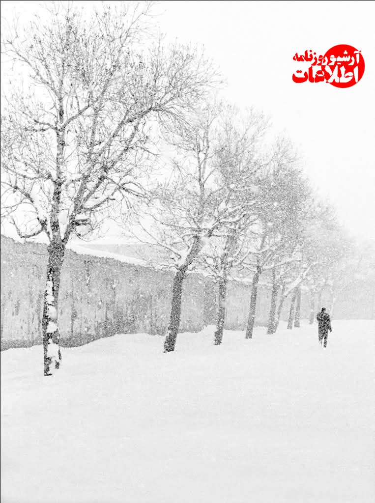 مردم زیر برفها تونل زدند! +عکسهای دیدنی