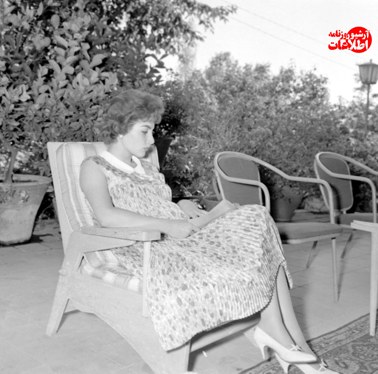 جزئیات خواستگاری از «شهناز پهلوی» دختر شاه در آمریکا منتشرشد