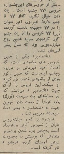 جایزه جشنواره «شاه خروس» را چه کسی به خانه برد؟ +عکس و جزئیات