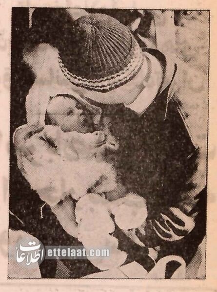 اسرای عراقی در تهران با خانواده هایشان دیدار کردند! +عکس