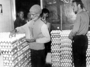 بحران تخم‌مرغ در تهران: کمبود به بازار سیاه کشید! +عکس و جزئیات