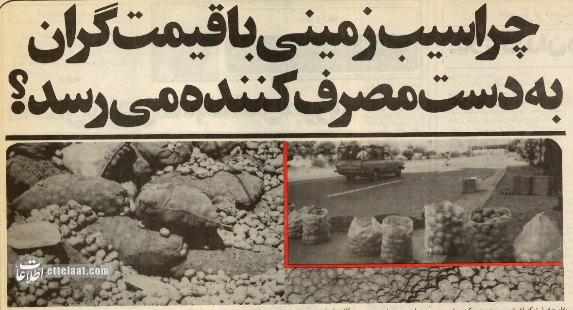 چطور قیمت سیبزمینی ۳برابر شد؟ +عکس و جزئیات