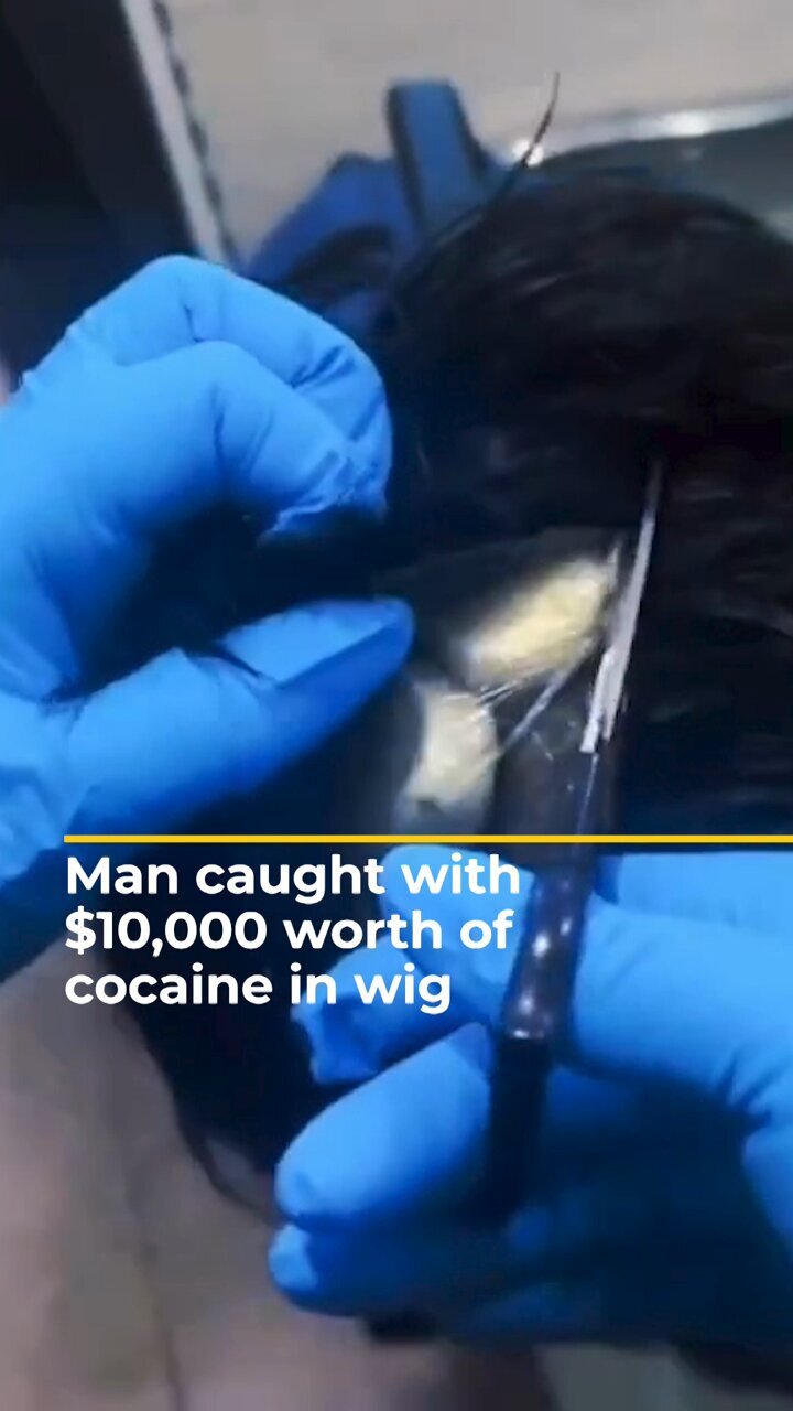 مخفی کردن کوکایین در کلاه گیس