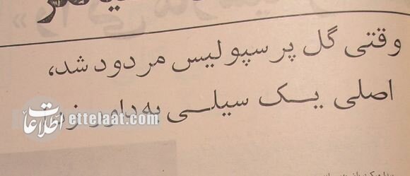 جنجال‌های دربی از این‌جا شروع شد/ سیلی دروازه‌بان پرسپولیس به گوش داور +عکس و جزئیات