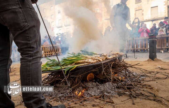 پیازچه خوری