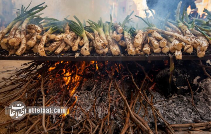 پیازچه خوری