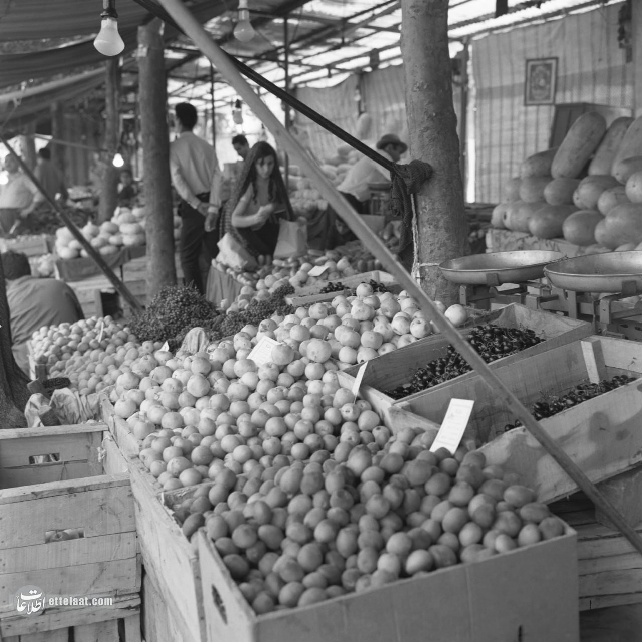 قیمت انواع میوه در نوروز سال 1354؛ حال و هوای نوروز 49 سال پیش را ببینید +عکس 4 قیمت انواع میوه در نوروز سال ۵۴ +عکسهای دیدنی از بازار تهران