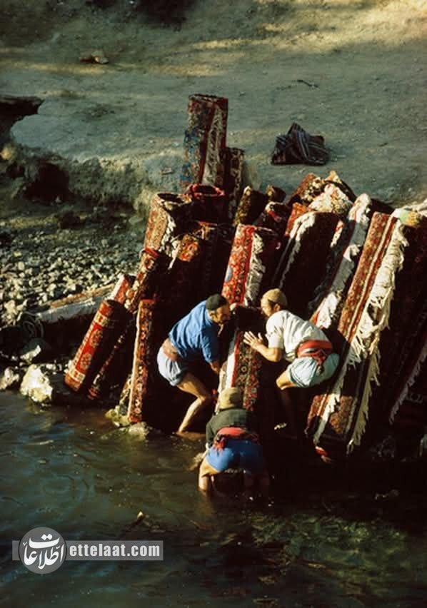 حدود 50 سال قبل، وقتی بزرگترین دغدغه مردم تهران فرش شستن بود! +عکس 7 وقتی بزرگترین دغدغه مردم تهران فرش شستن بود! +عکسهای دیدنی