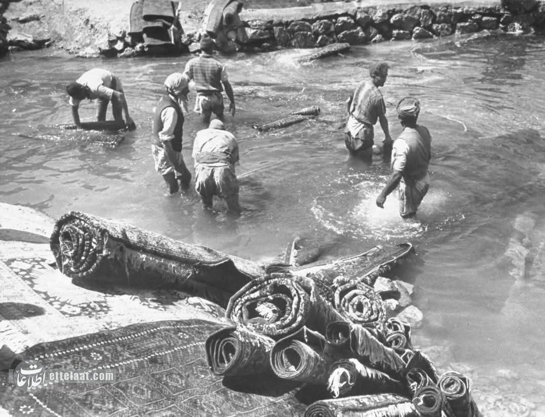 حدود 50 سال قبل، وقتی بزرگترین دغدغه مردم تهران فرش شستن بود! +عکس 6 وقتی بزرگترین دغدغه مردم تهران فرش شستن بود! +عکسهای دیدنی