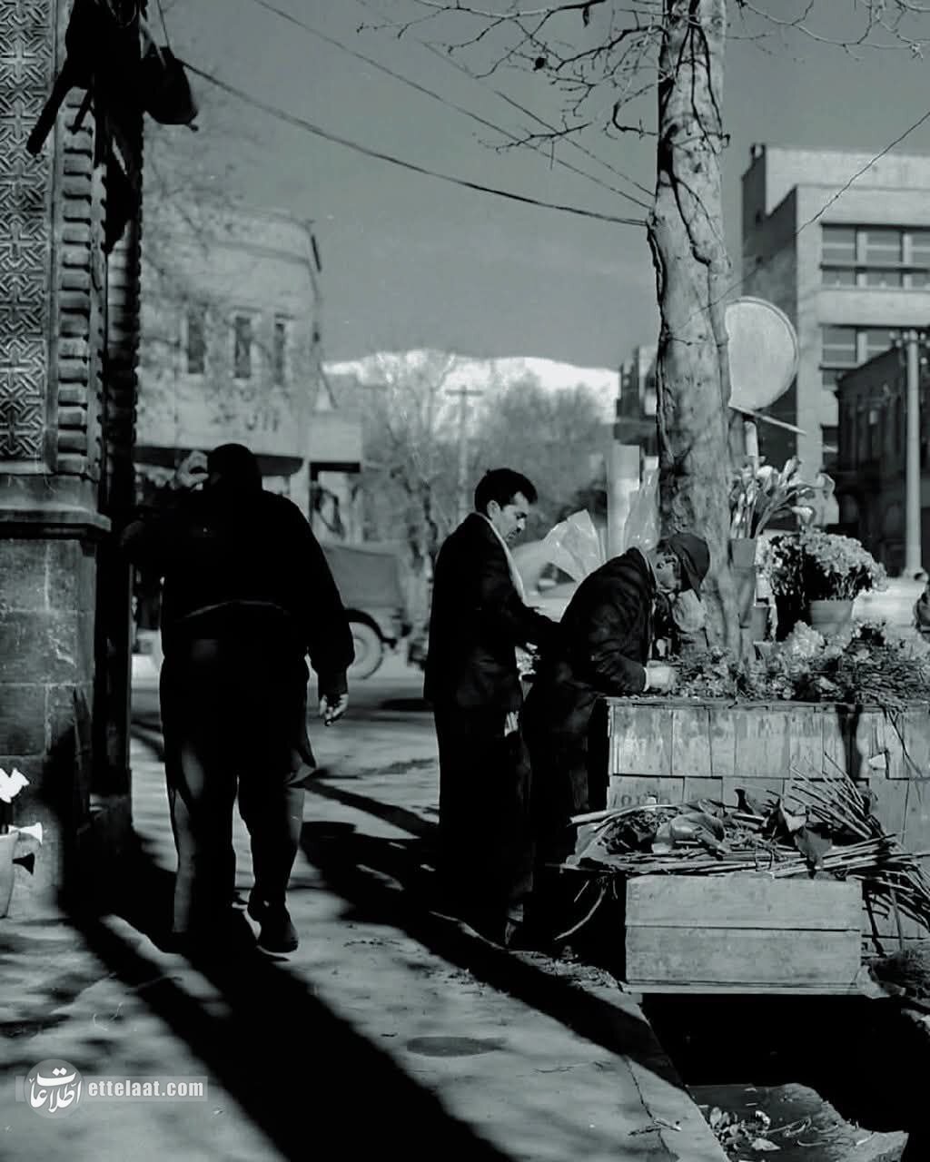 گردش مالی بازار گل تهران ۶۰ سال پیش چقدر بود؟ +عکس