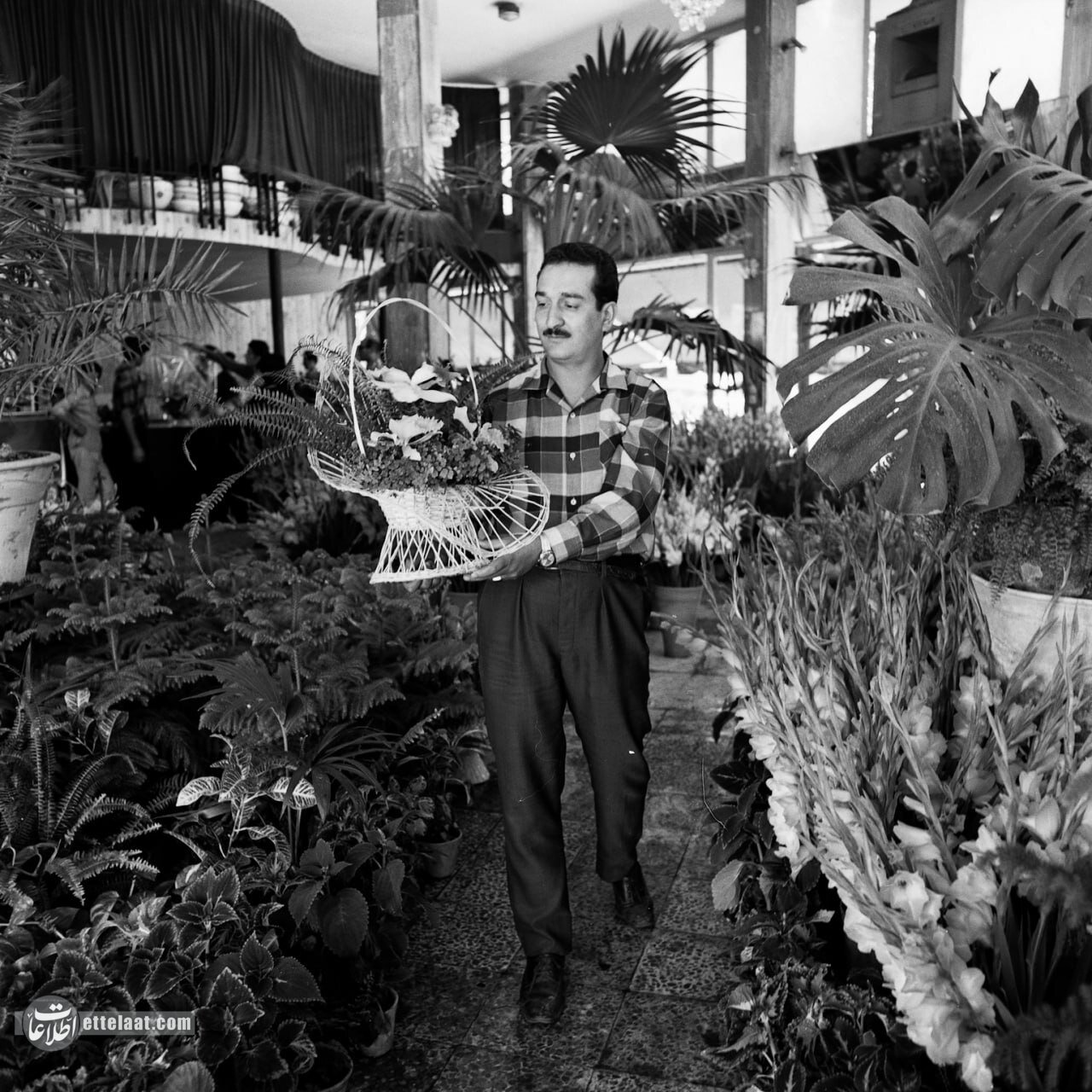 گردش مالی بازار گل تهران ۶۰ سال پیش چقدر بود؟ +عکس