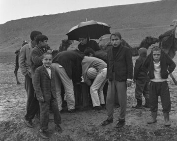 زمستان در بهار به تهران برگشت! +جزئیات