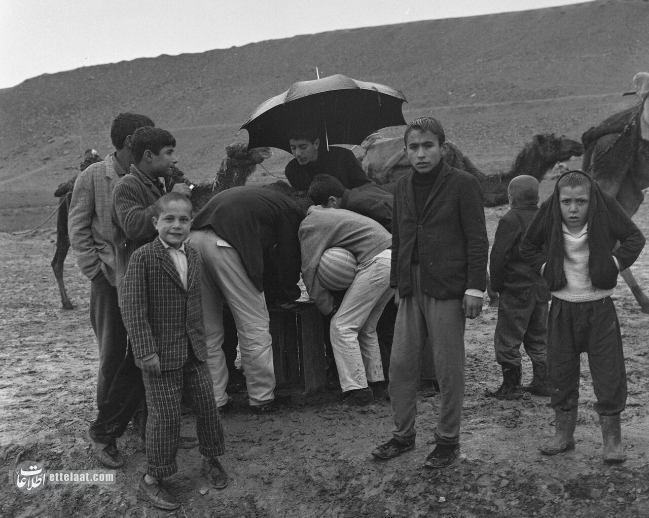 زمستان در بهار به تهران برگشت! +جزئیات زمستان در بهار به تهران برگشت! +جزئیات