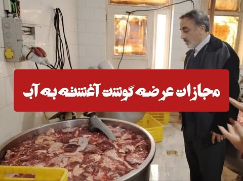 جریمه ۹۰ میلیارد ریالی شرکت بسته‌بندی گوشت در قزوین؛ ماجرا چه بود؟