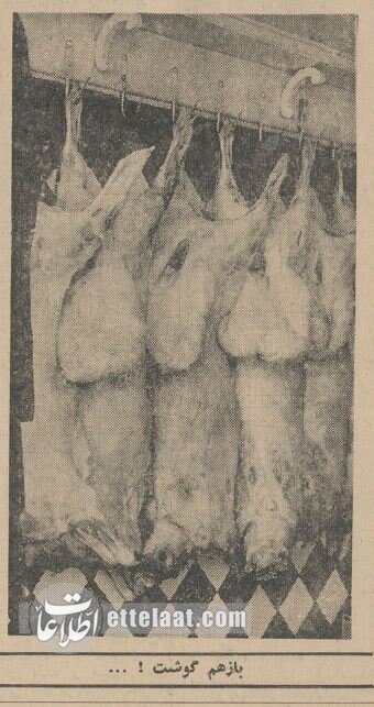 عکسهایی از زندگی در تهران: فروردین ۶۰ سال پیش!