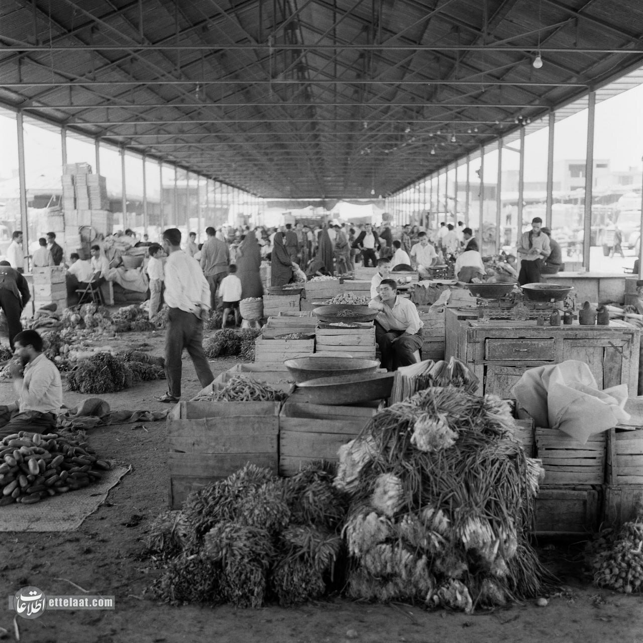 ترهبار تهران 60 سال پیش چهگونه بود؟ +عکس 3 ۶۰ سال پیش در میدانهای میوه و ترهبار تهران چه خبر بود؟ +عکس