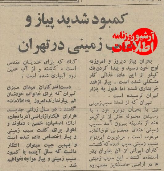 وقتی پیاز در تهران نایاب شد!