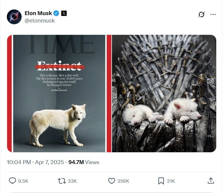 خیز ایلان ماسک برای تصاحب «گرگهای وحشت»!